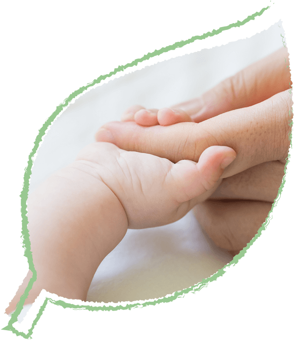 赤ちゃんと大人の手の写真